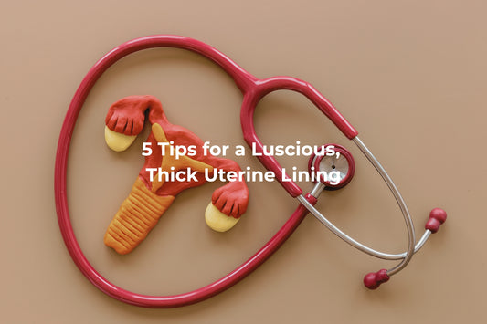 5 Tips for a Luscious, Thick Uterine Lining