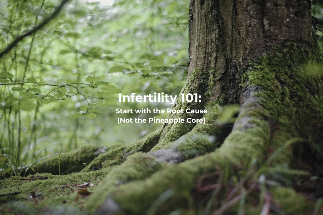 Infertility 101: Start with the Root Cause (Not the Pineapple Core)