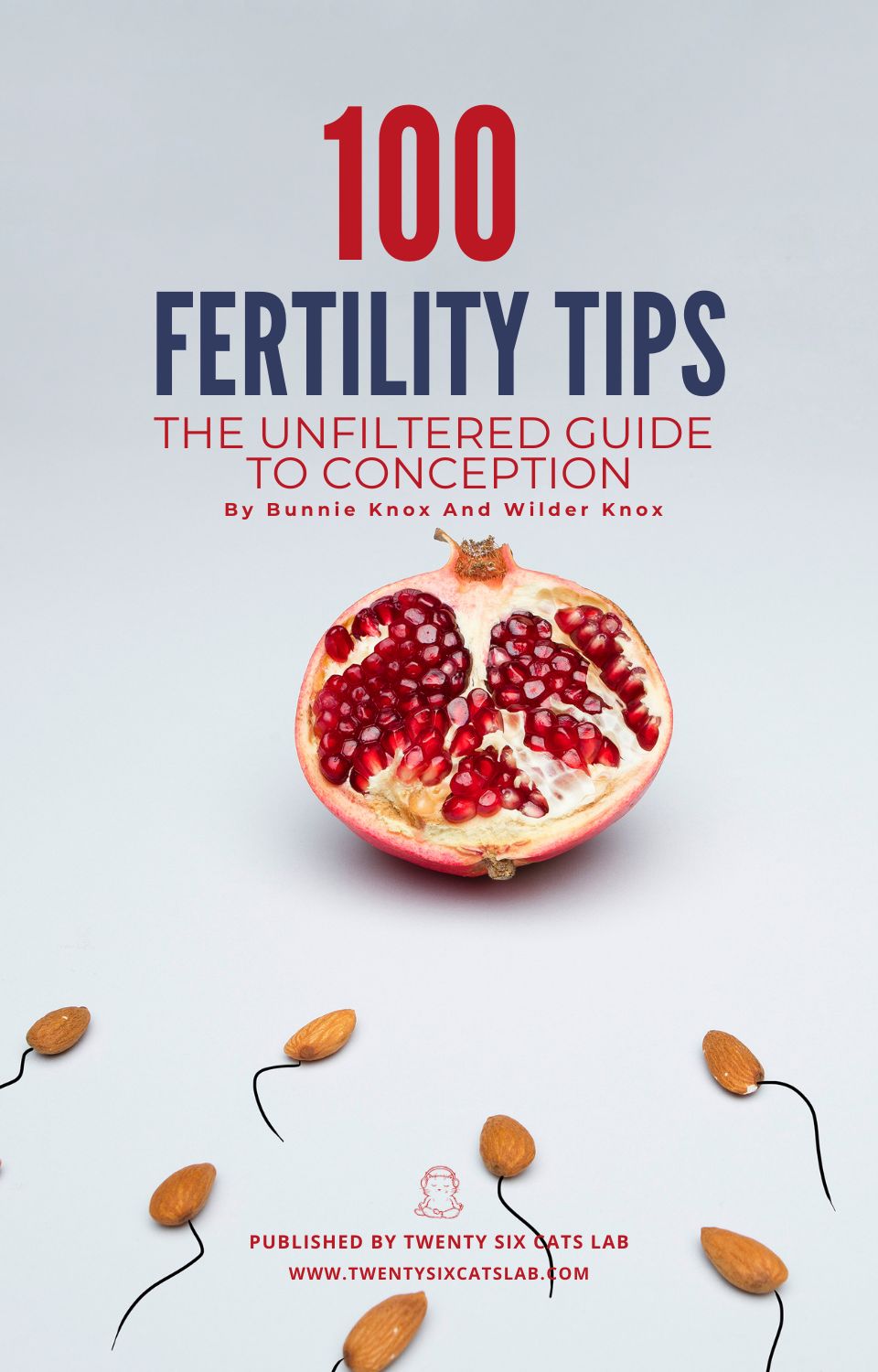 EBook: 100 Fertility Tips-The Unfiltered Guide to Conception