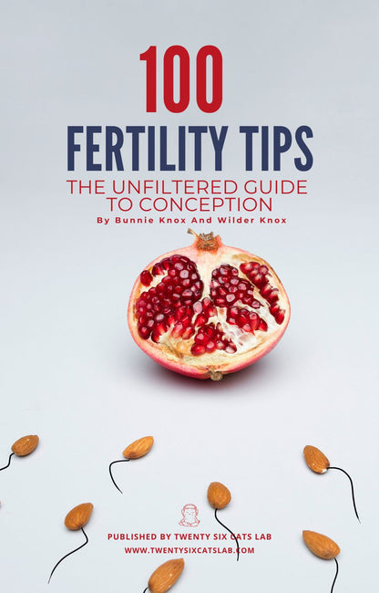 EBook: 100 Fertility Tips-The Unfiltered Guide to Conception