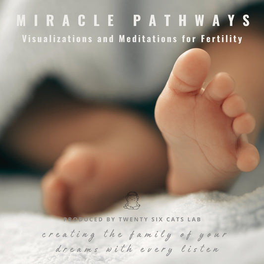 A Day in the Life Manifesting Your Beautiful Future with Your Baby